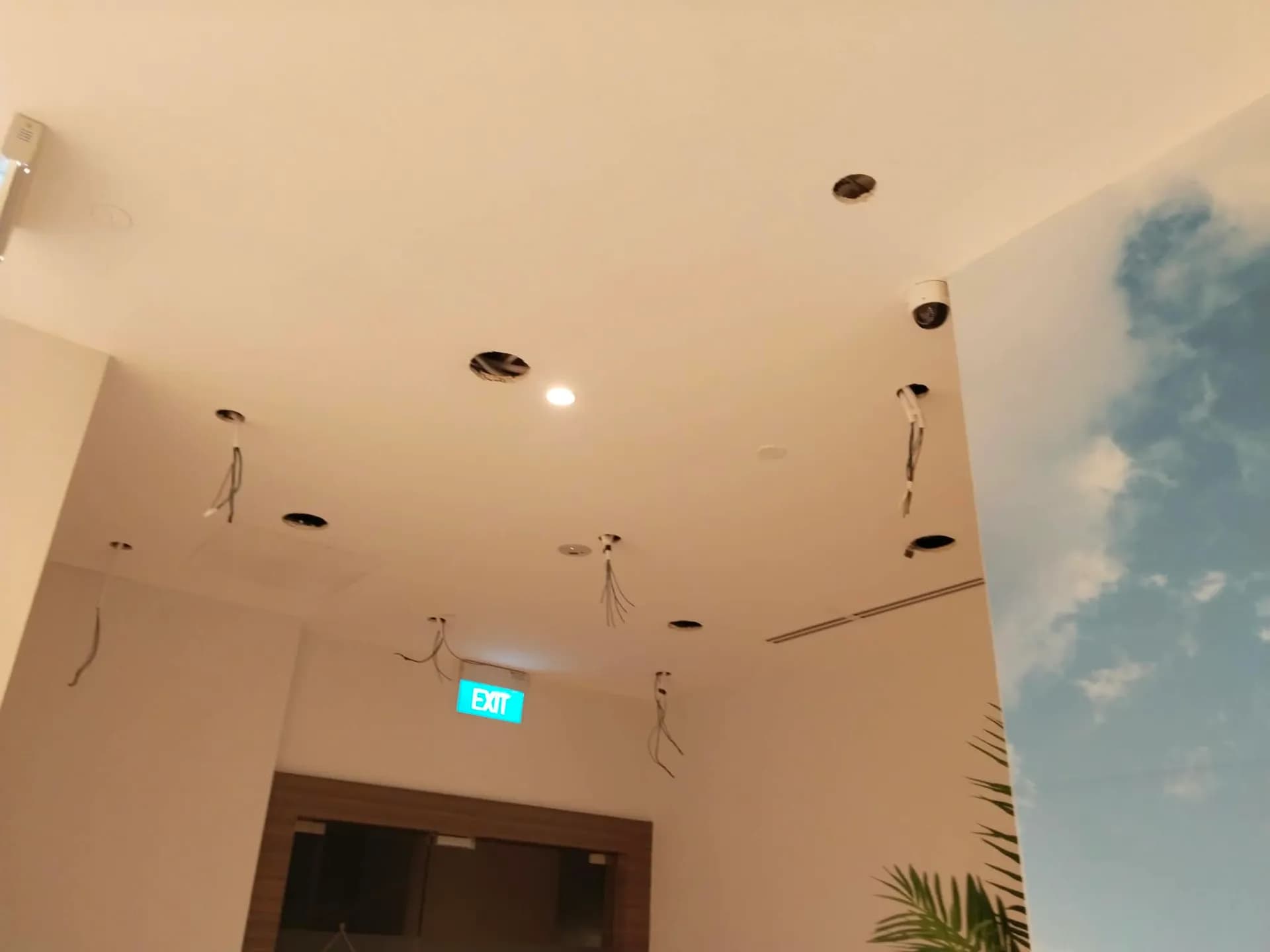 Common Electrical Issues We Solve